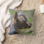 Coussin adorable chèvre de bébé (Couverture)
