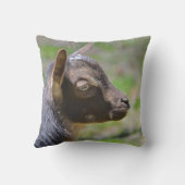 Coussin adorable chèvre de bébé (Verso)