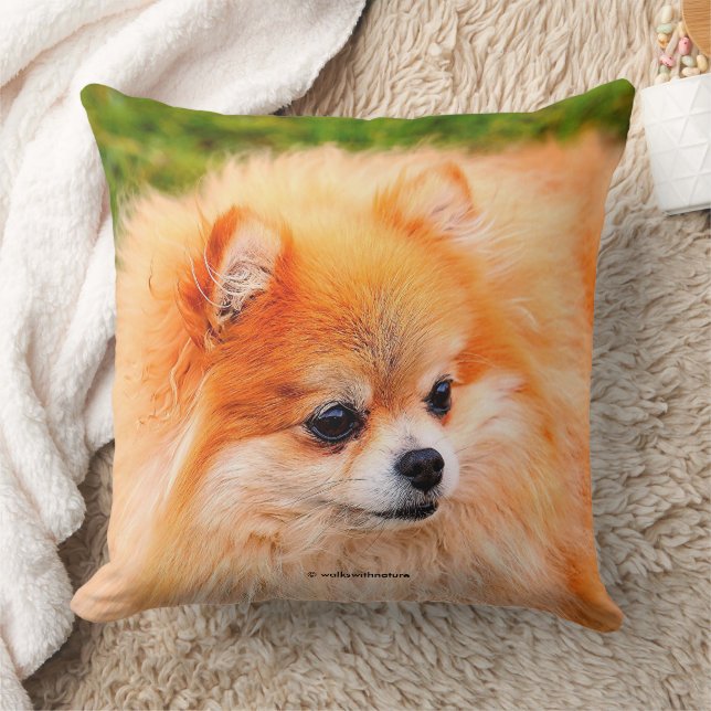 Coussin Adorable Chien Poméranien (Couverture)