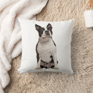 Coussin Adorable chiot Boston Terrier noir et blanc