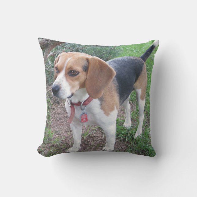 Coussin adorable de beagle de Houndie (Recto)
