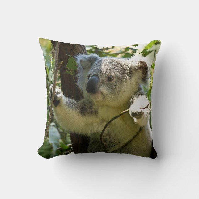 Coussin Adorable Koala dans l'Eucalyptus Arbre Jeter le Ch (Recto)
