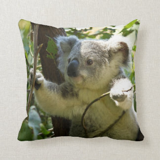 Coussin Adorable Koala dans l'Eucalyptus Arbre Jeter le Ch
