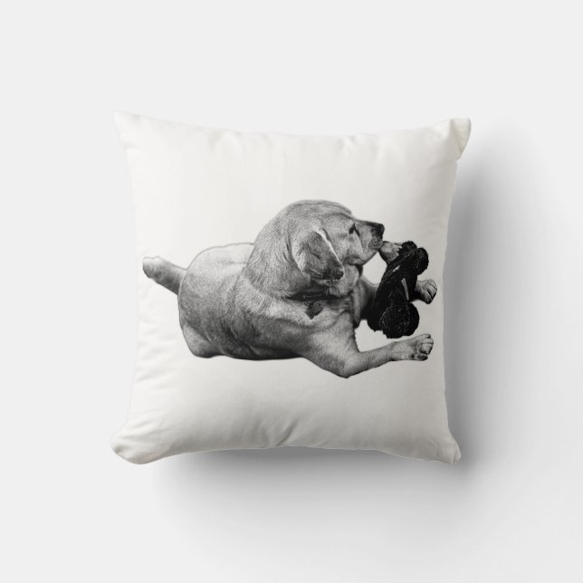 Coussin Affection reposante (Recto)