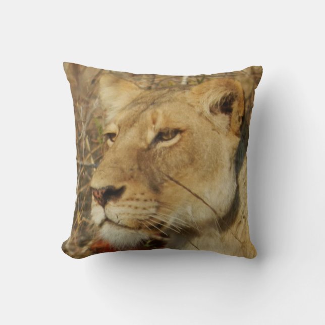 Coussin africain de lionne (Recto)