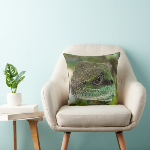 Coussin Agama, lézard