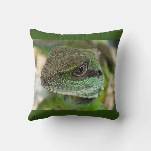 Coussin Agama, lézard (Verso)