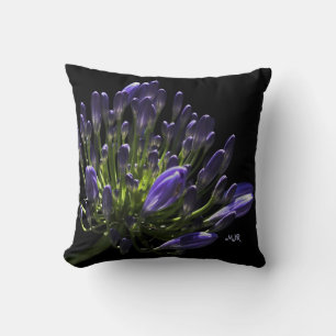 Coussin Agapanthus violet à floraison solaire, Lily africa