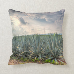 Coussin Agave bleu