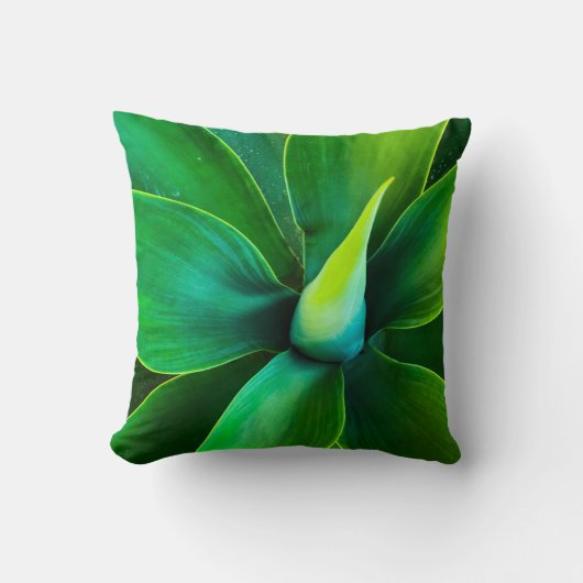 Coussin Agave Cushion (Recto)