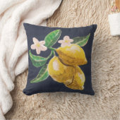 Coussin agrume (Couverture)