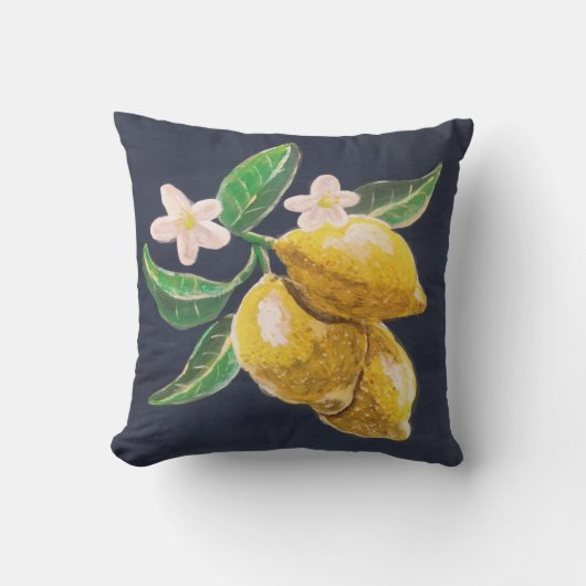 Coussin agrume (Recto)