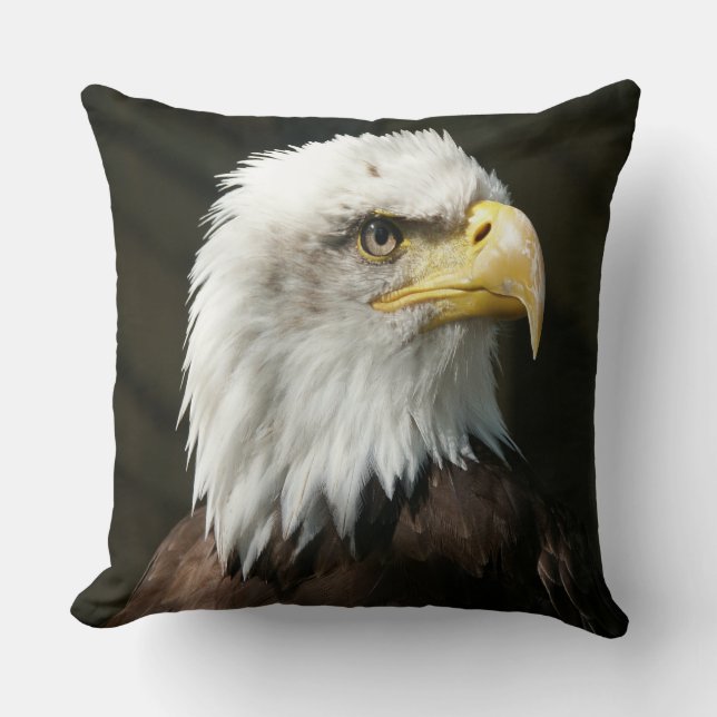 Coussin aigle américain (Recto)