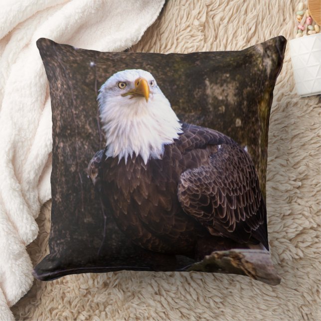 Coussin Aigle de Bald (Couverture)