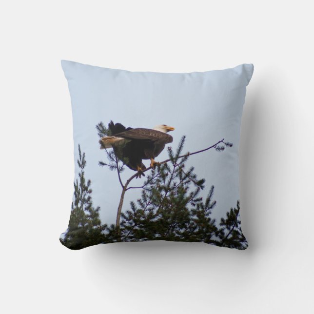 Coussin Aigle de Bald (Recto)