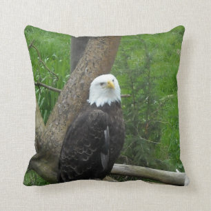 Coussin Aigle de Bald