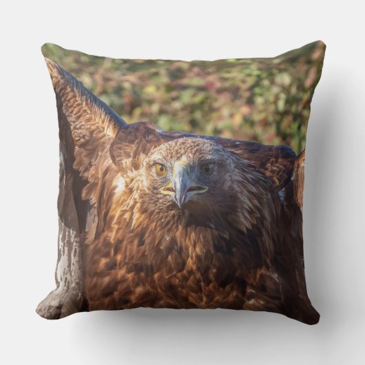 Coussin Aigle d'or (Recto)