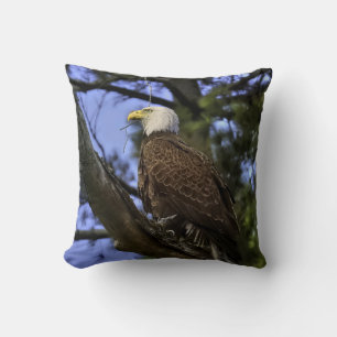 Coussin Aigle maturé (2 Phos)