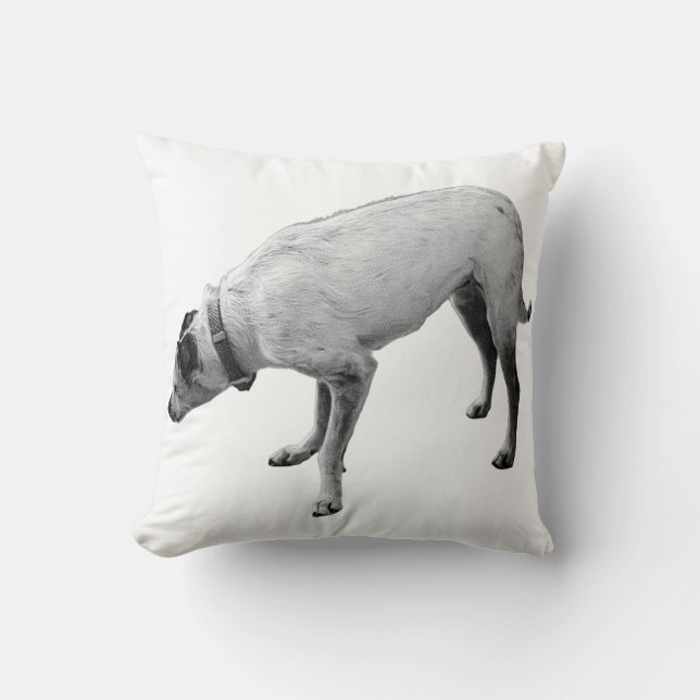 Coussin Alerte Esprit d'automne (Recto)