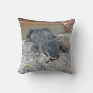 Coussin Alligator, Fort Lauderdale, Floride