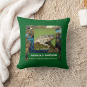 Coussin Almofada 40,6 cm x 40,6 cm Sapo (Couverture)