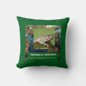 Coussin Almofada 40,6 cm x 40,6 cm Sapo (Recto)