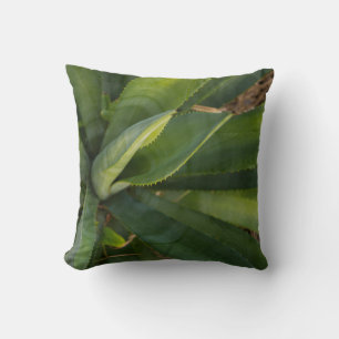 Coussin Aloe Vera