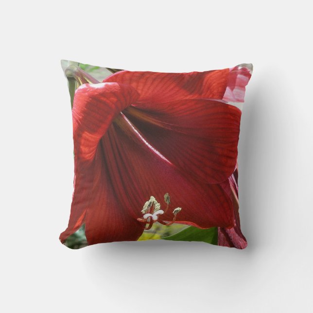 Coussin Amaryllis (Recto)