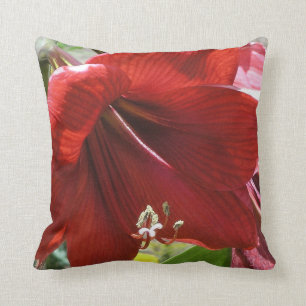 Coussin Amaryllis