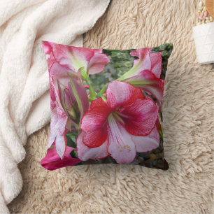 Coussin Amaryllis et fleurs de vacances rouges de Poinsett