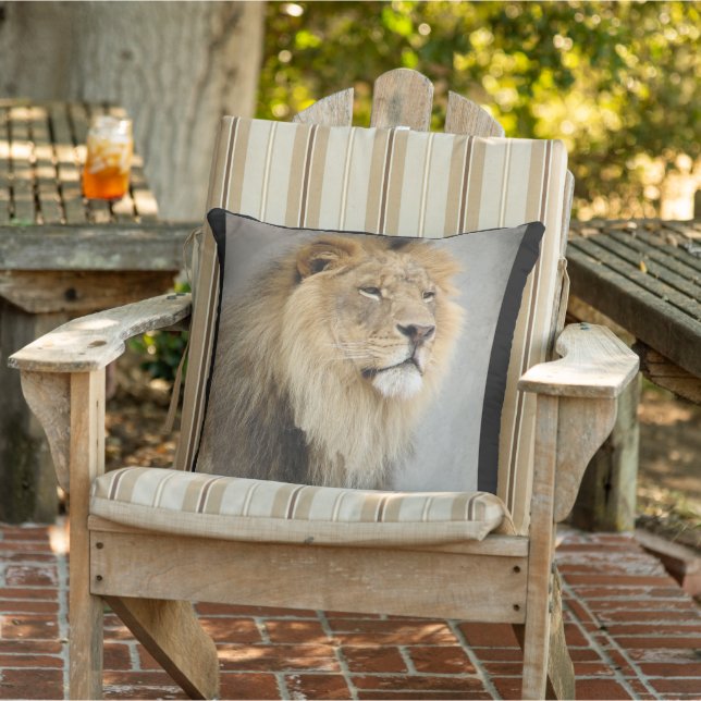 Coussin Amateurs de lions Jeter l'oreiller (Chaise)
