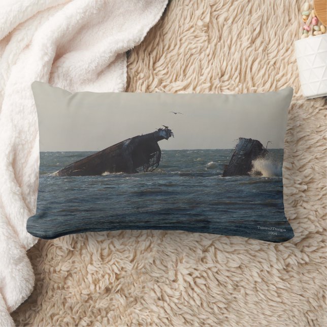 Coussin américain Atlantus Concrete Shipwreck (Couverture)