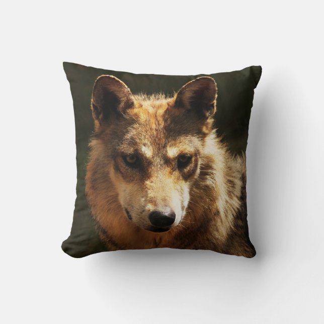 Coussin américain du loup (Recto)