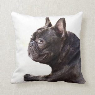 Coussin Américain Mojo de bouledogue français