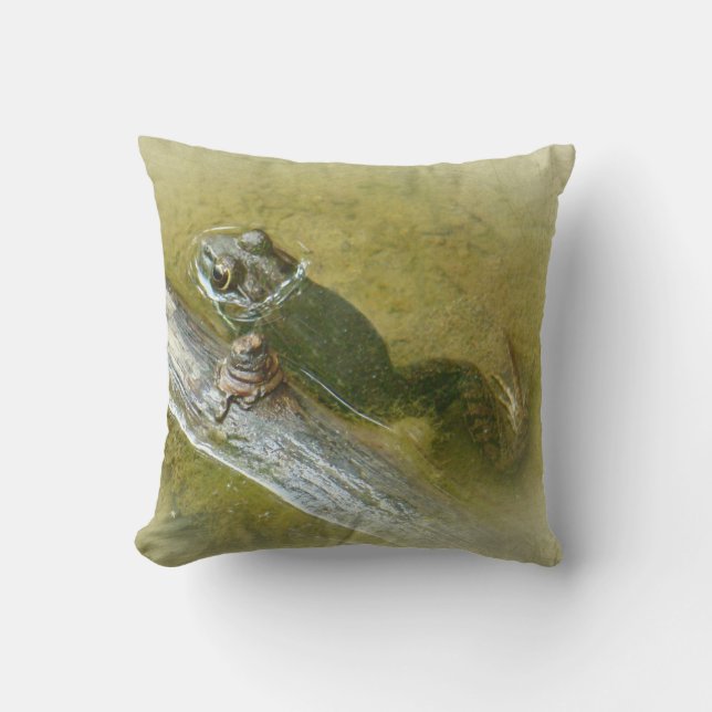 Coussin American Bullfrog - Rana catesbeiana (Recto)