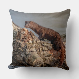 Coussin American Mink