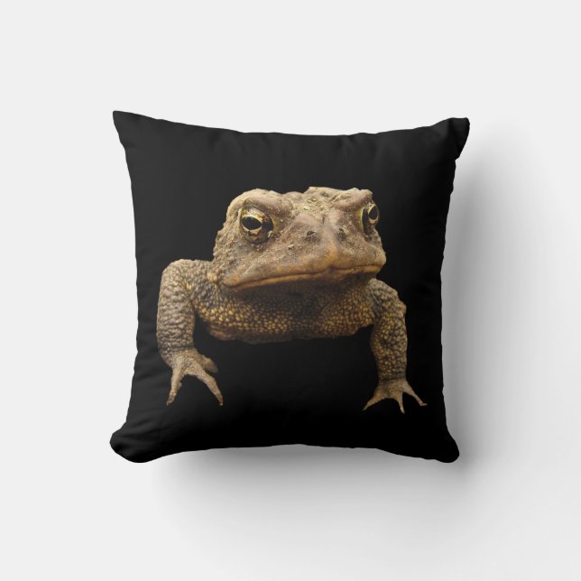 Coussin American Toad (Recto)