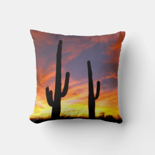Coussin Amérique du Nord, États-Unis, Arizona, désert de S