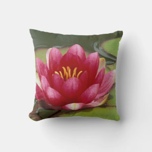 Coussin Amérique du Nord, États-Unis, WA, Seattle, Woodlan
