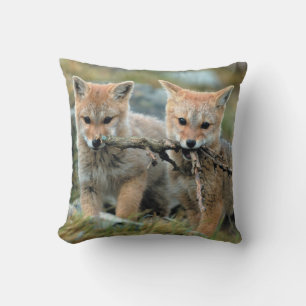 Coussin Amérique du Sud, Chili, Parc national Torres del P