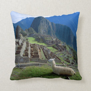 Coussin Amérique du Sud, Pérou. Un lama repose sur une col