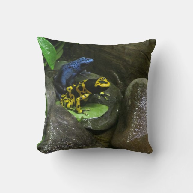 Coussin Amis de grenouille de dard (Recto)