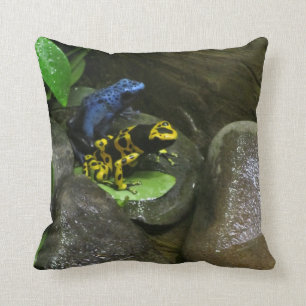 Coussin Amis de grenouille de dard