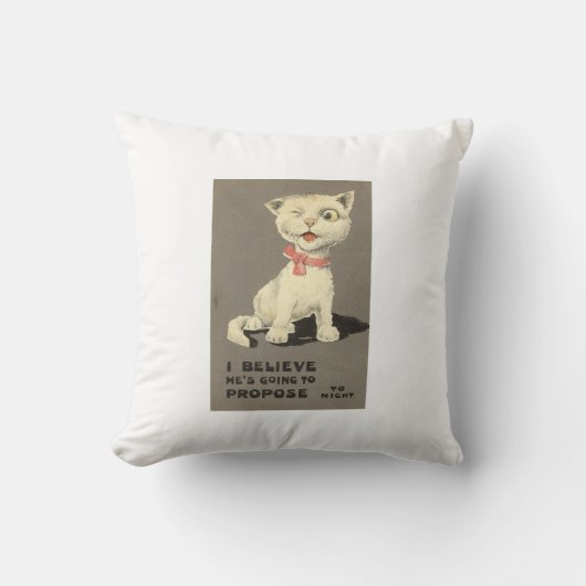 Coussin Amoureux des chats lancer l'oreiller (Recto)