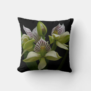 Coussin Anacheilium Chacoense