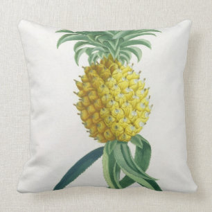 Coussin Ananas gravé par Johann Jakob Haid (1704-67)