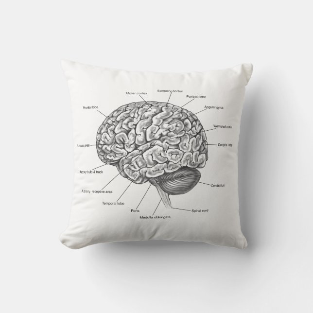 Coussin Anatomie du cerveau (Recto)