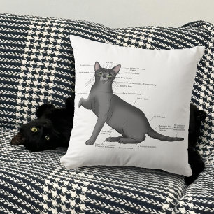 Coussin Anatomie du chat amusant
