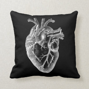 Coussin Anatomie du coeur