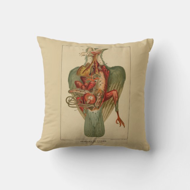 Coussin Anatomie d'un pigeon (Recto)